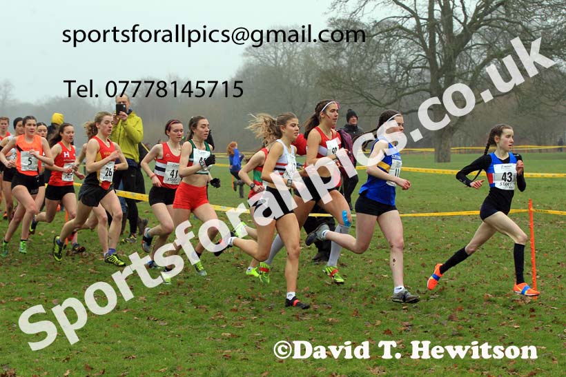 Junior Womens 2023 Northern Cross Country Champs., Witton Park, Blackburn. Photo: David T. Hewitson/Sports for All Pics